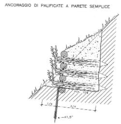 [Palovit palificata semplice]