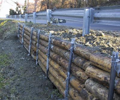 [Palovit palificata su strada franata]